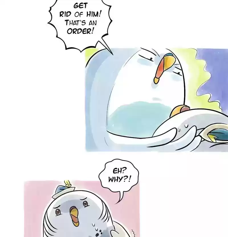 A Budgie's Life Chapter 102: Ep.102: