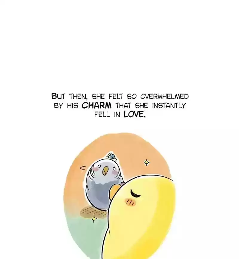A Budgie's Life Chapter 102: Ep.102: