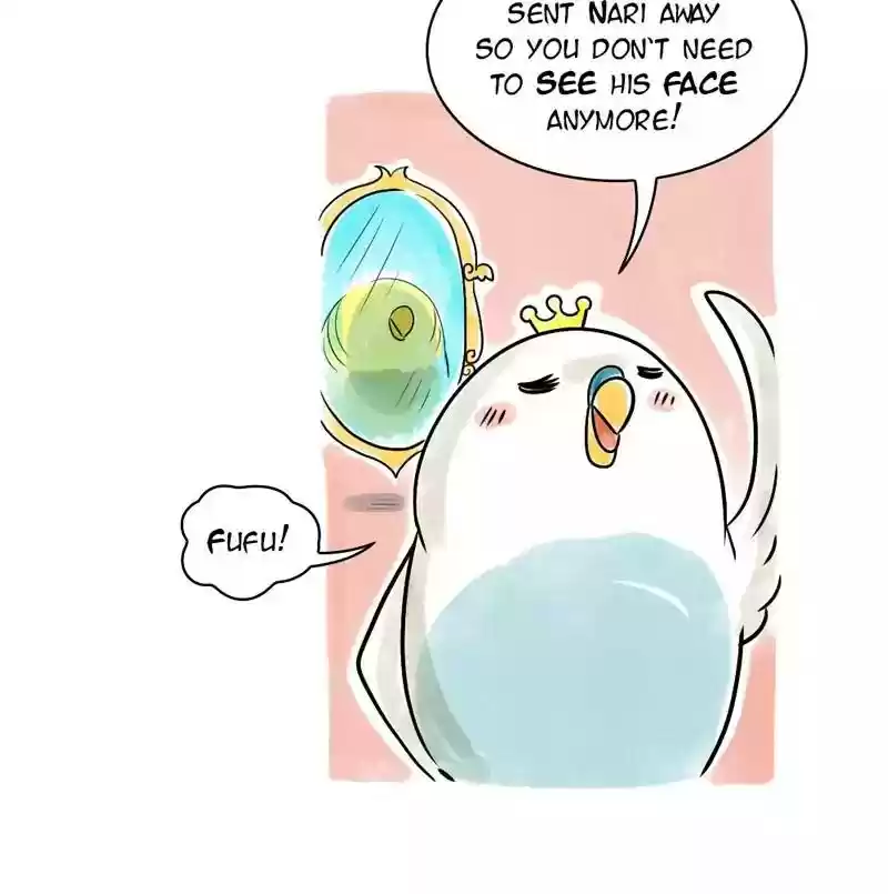 A Budgie's Life Chapter 103: Ep.103: