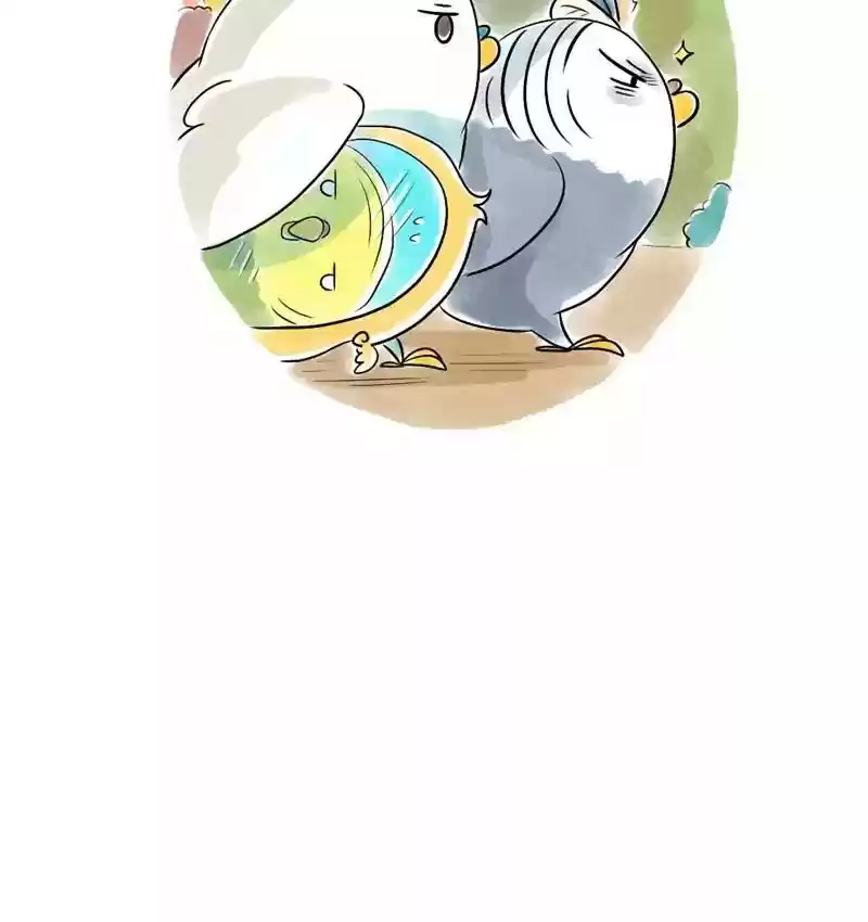 A Budgie's Life Chapter 103: Ep.103: