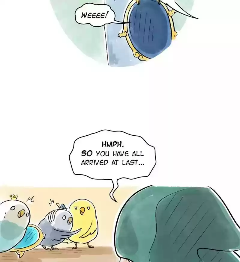 A Budgie's Life Chapter 103: Ep.103: