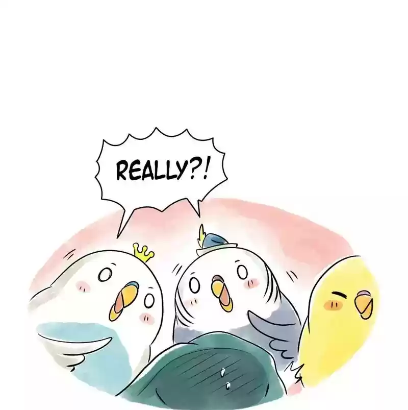 A Budgie's Life Chapter 103: Ep.103: