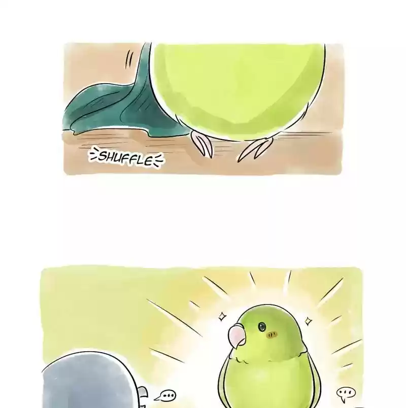 A Budgie's Life Chapter 103: Ep.103:
