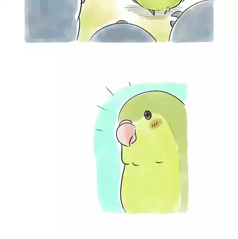 A Budgie's Life Chapter 103: Ep.103: