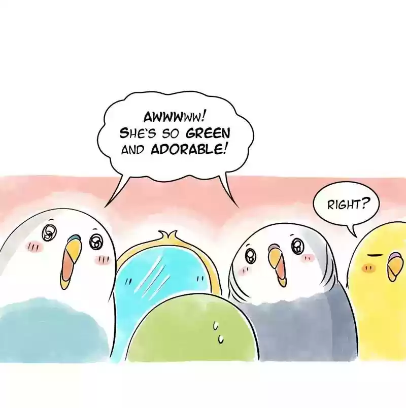 A Budgie's Life Chapter 103: Ep.103: