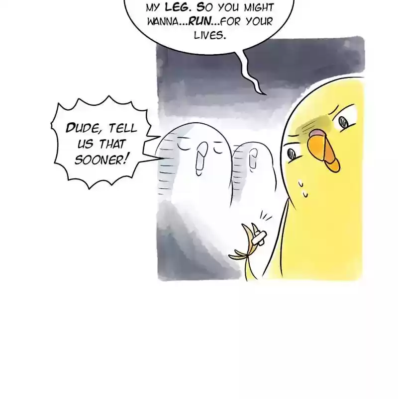 A Budgie's Life Chapter 103: Ep.103: