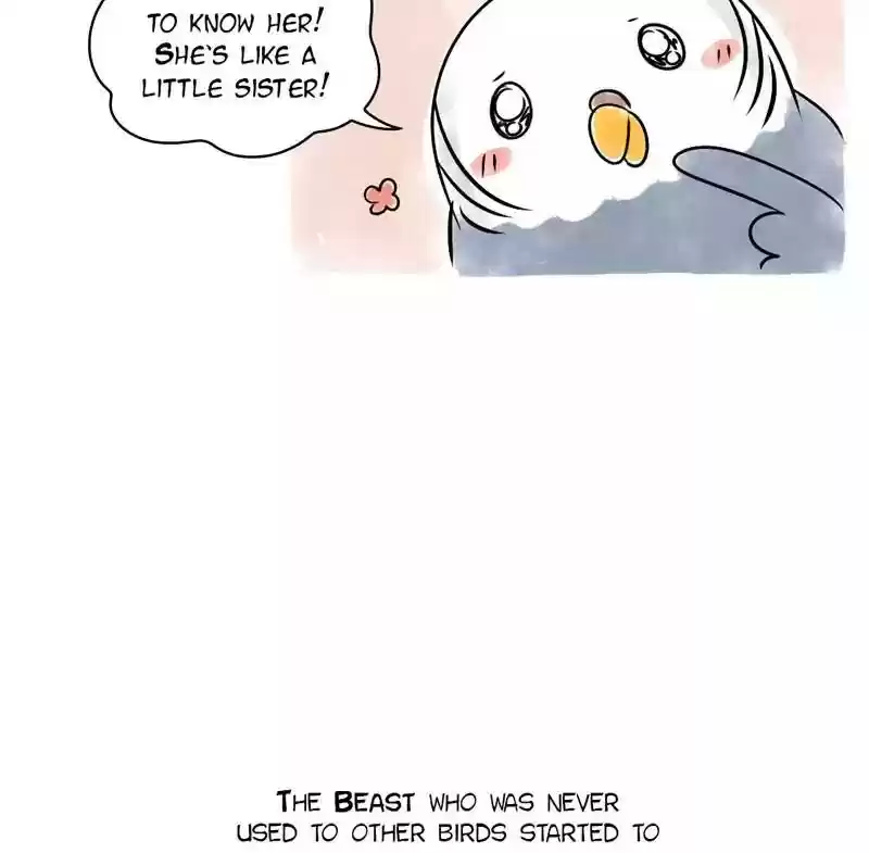 A Budgie's Life Chapter 103: Ep.103: