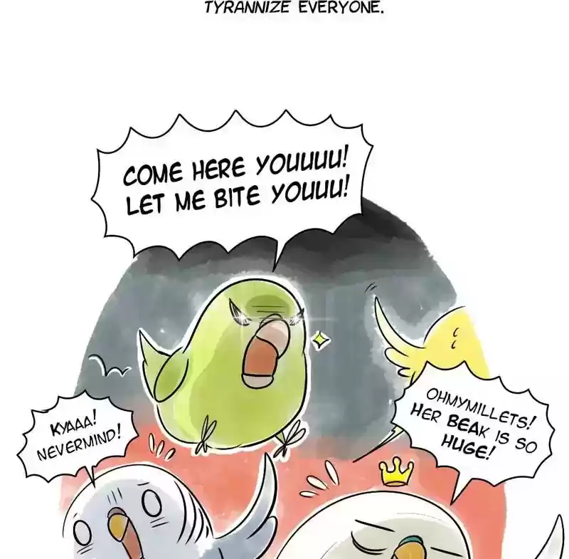 A Budgie's Life Chapter 103: Ep.103: