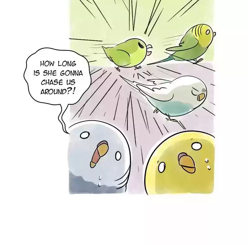 A Budgie's Life Chapter 103: Ep.103: