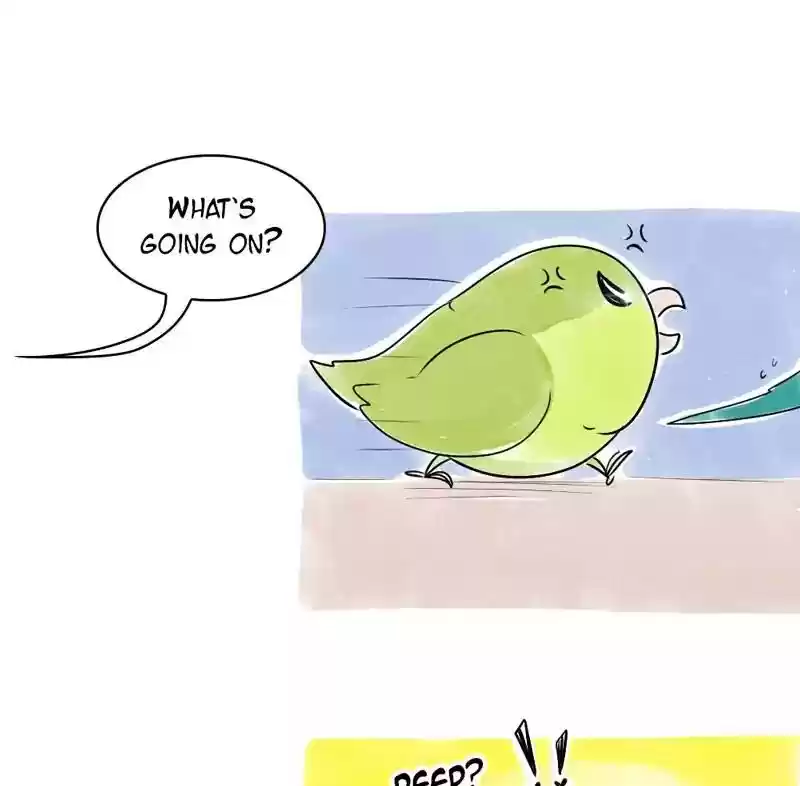 A Budgie's Life Chapter 103: Ep.103: