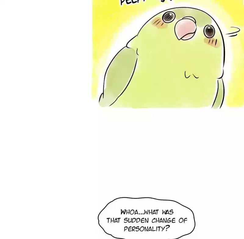 A Budgie's Life Chapter 103: Ep.103: