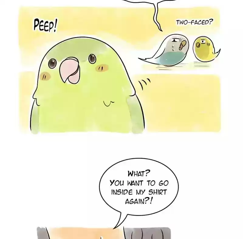 A Budgie's Life Chapter 103: Ep.103: