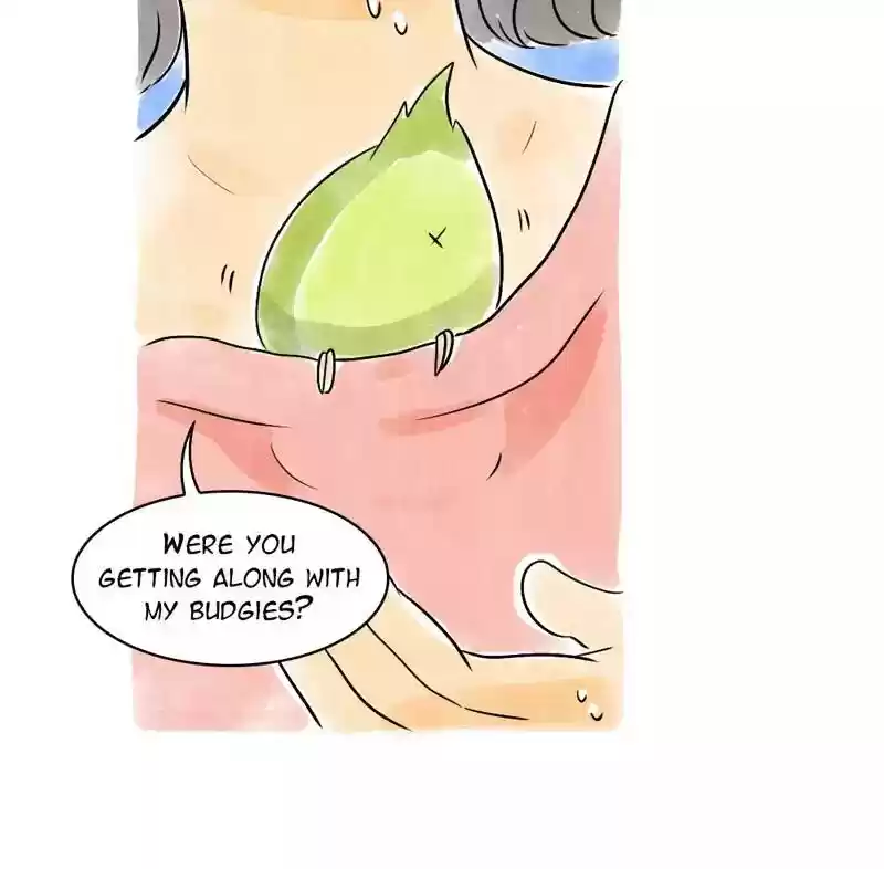 A Budgie's Life Chapter 103: Ep.103: