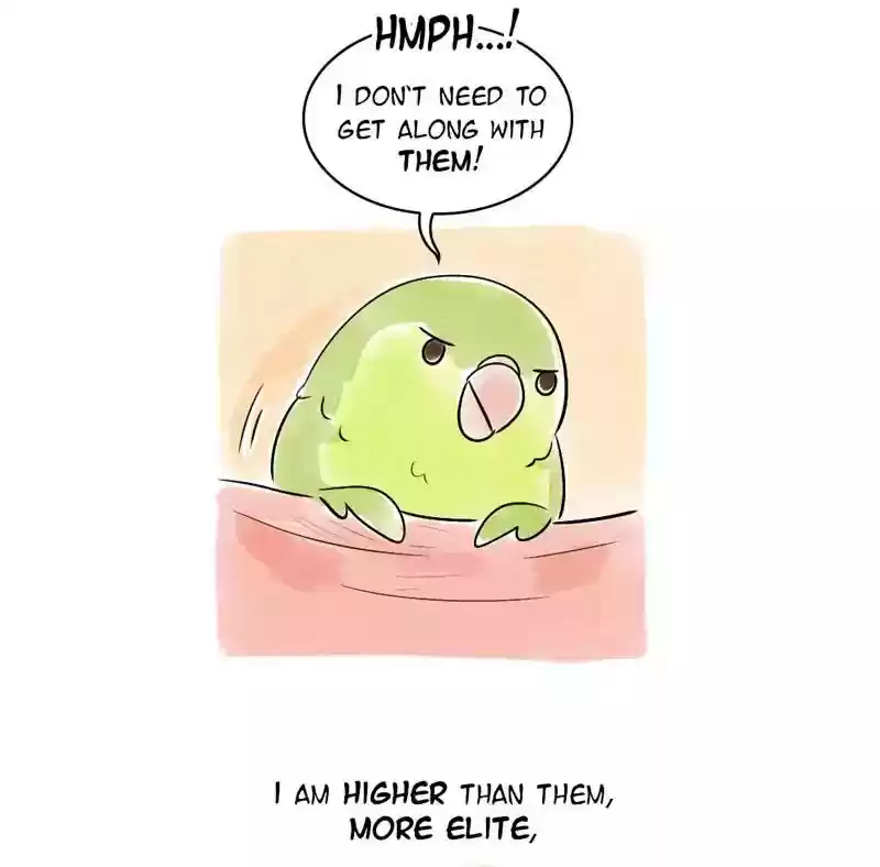 A Budgie's Life Chapter 103: Ep.103: