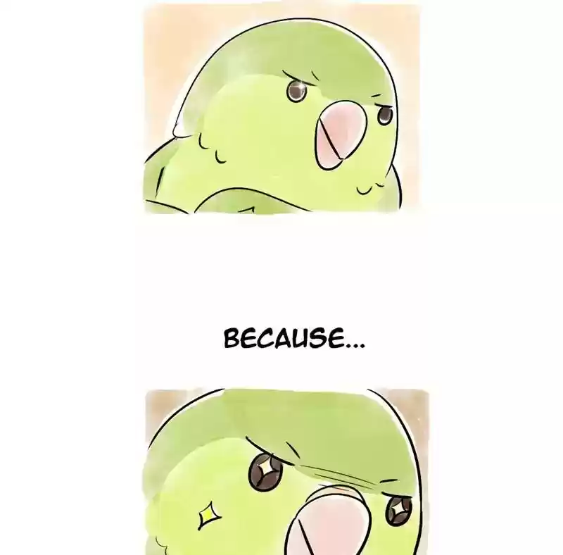 A Budgie's Life Chapter 103: Ep.103: