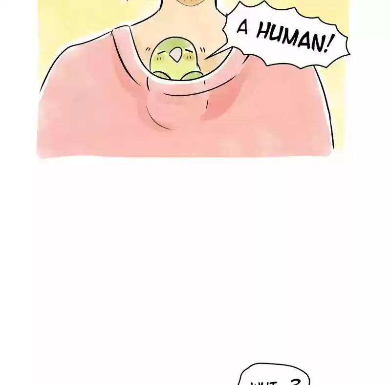 A Budgie's Life Chapter 103: Ep.103: