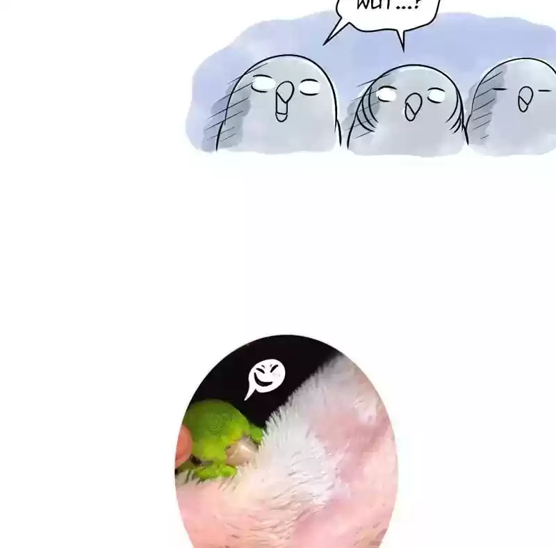 A Budgie's Life Chapter 103: Ep.103: