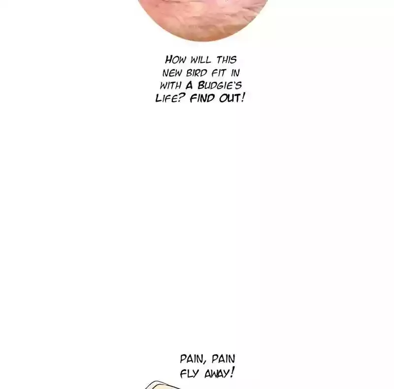 A Budgie's Life Chapter 103: Ep.103: