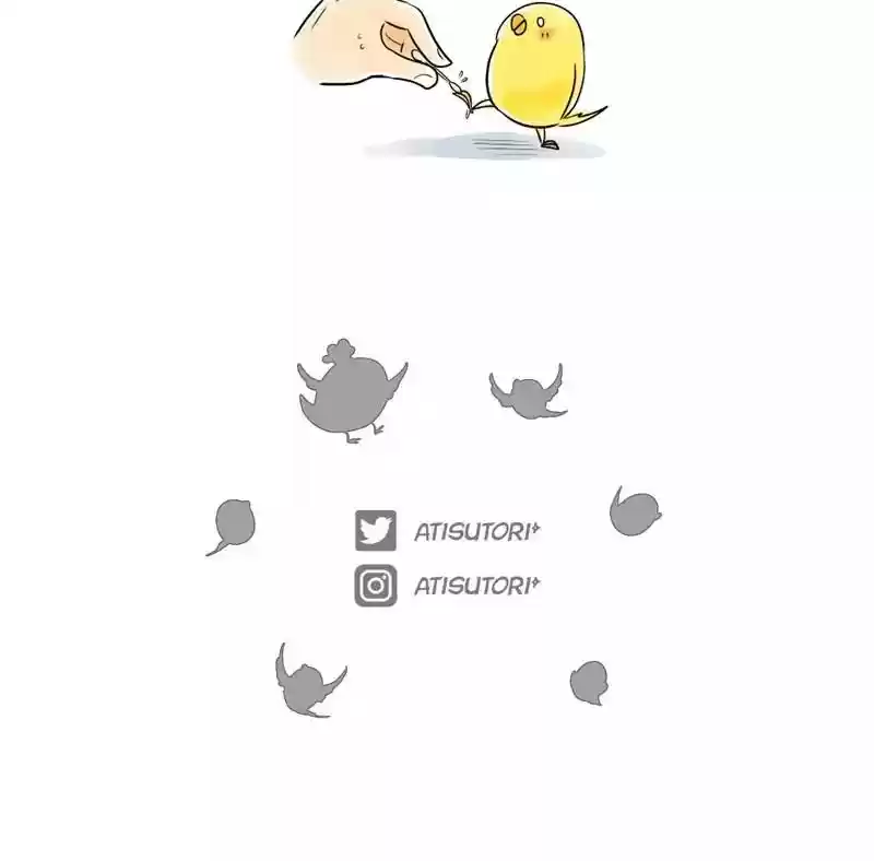 A Budgie's Life Chapter 103: Ep.103: