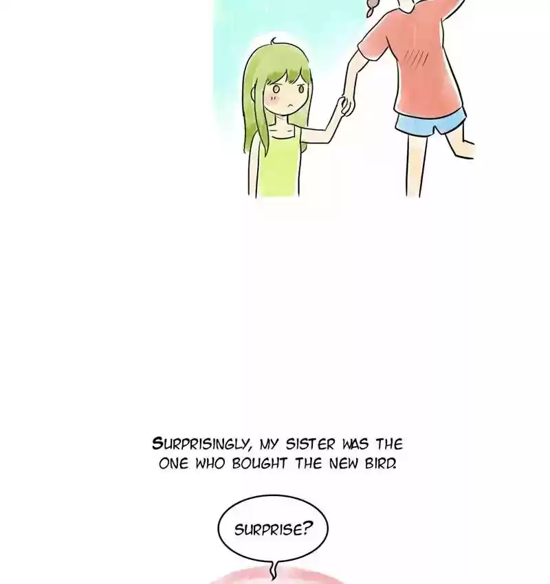 A Budgie's Life Chapter 104: Ep.104: