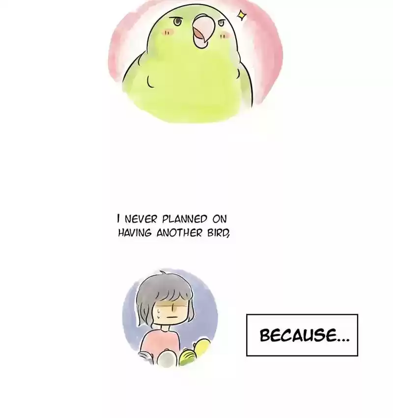A Budgie's Life Chapter 104: Ep.104:
