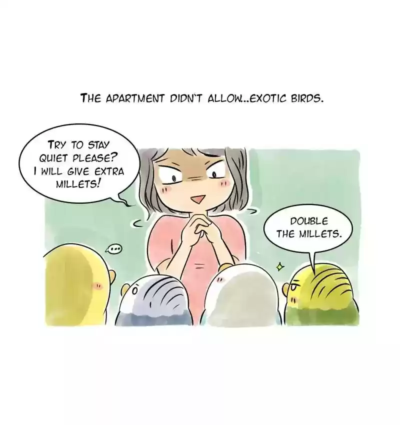 A Budgie's Life Chapter 104: Ep.104: