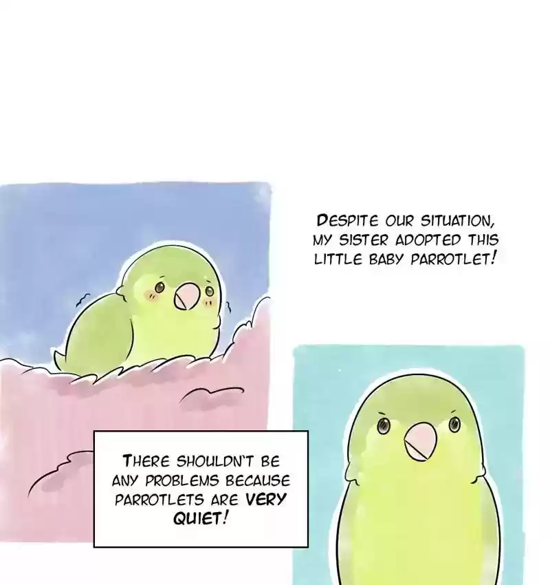 A Budgie's Life Chapter 104: Ep.104: