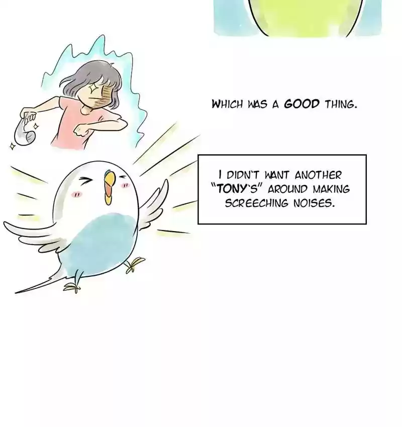 A Budgie's Life Chapter 104: Ep.104: