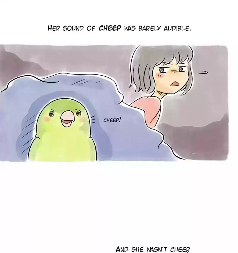 A Budgie's Life Chapter 104: Ep.104: