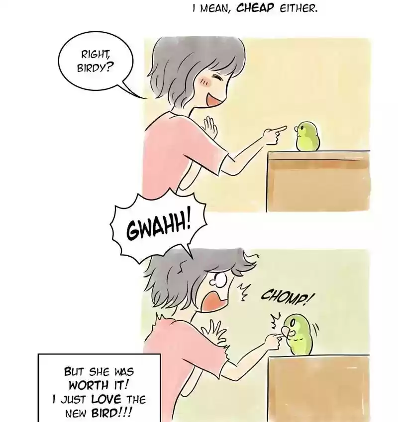A Budgie's Life Chapter 104: Ep.104: