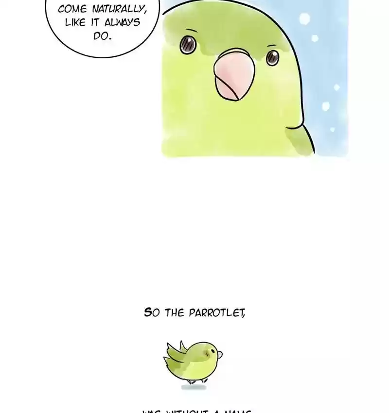 A Budgie's Life Chapter 104: Ep.104: