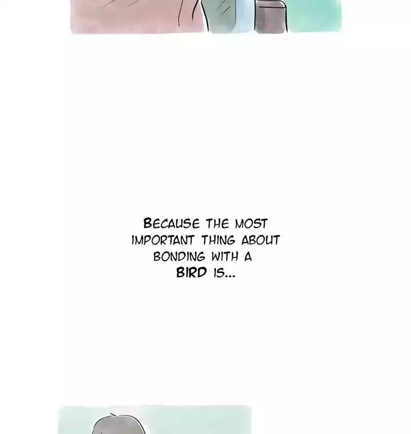 A Budgie's Life Chapter 104: Ep.104: