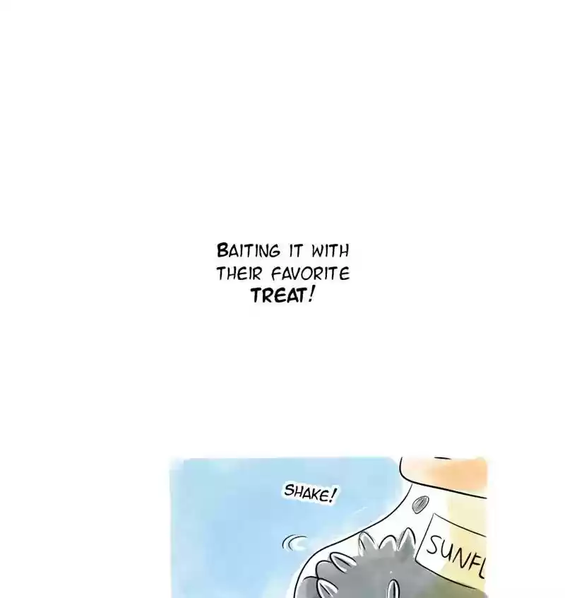 A Budgie's Life Chapter 104: Ep.104: