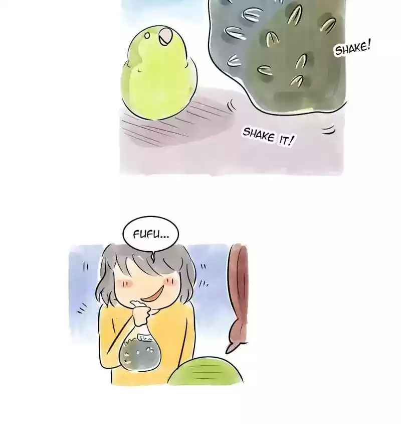 A Budgie's Life Chapter 104: Ep.104: