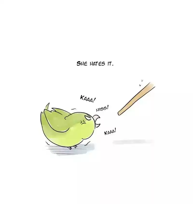 A Budgie's Life Chapter 104: Ep.104: