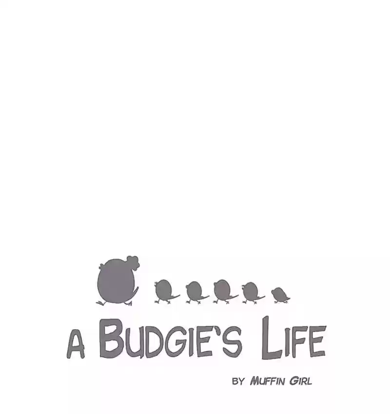 A Budgie's Life Chapter 105: Ep.105: