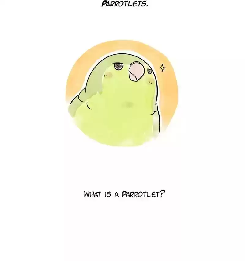 A Budgie's Life Chapter 105: Ep.105: