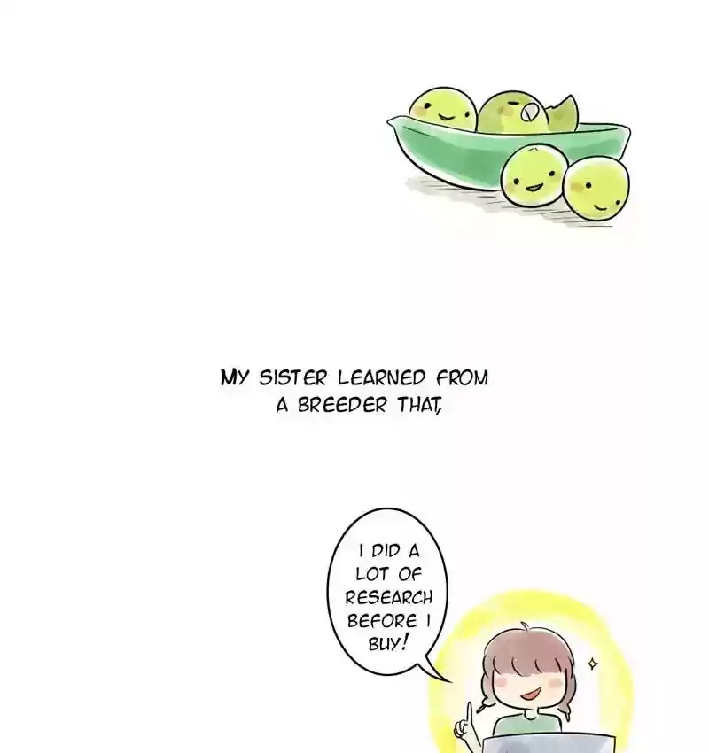 A Budgie's Life Chapter 105: Ep.105: