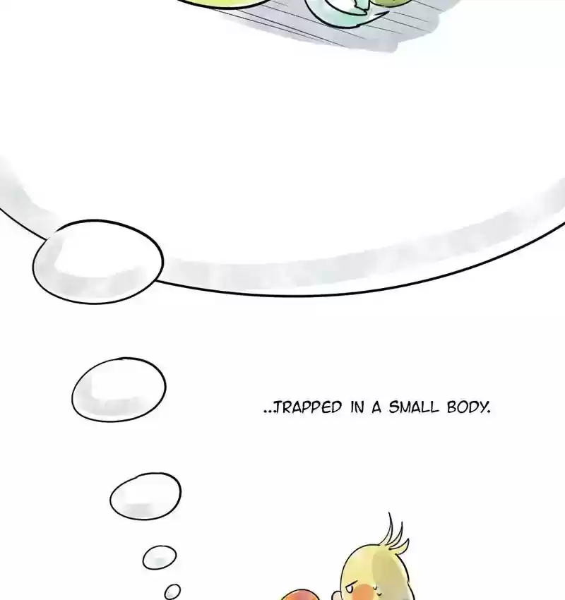 A Budgie's Life Chapter 105: Ep.105: