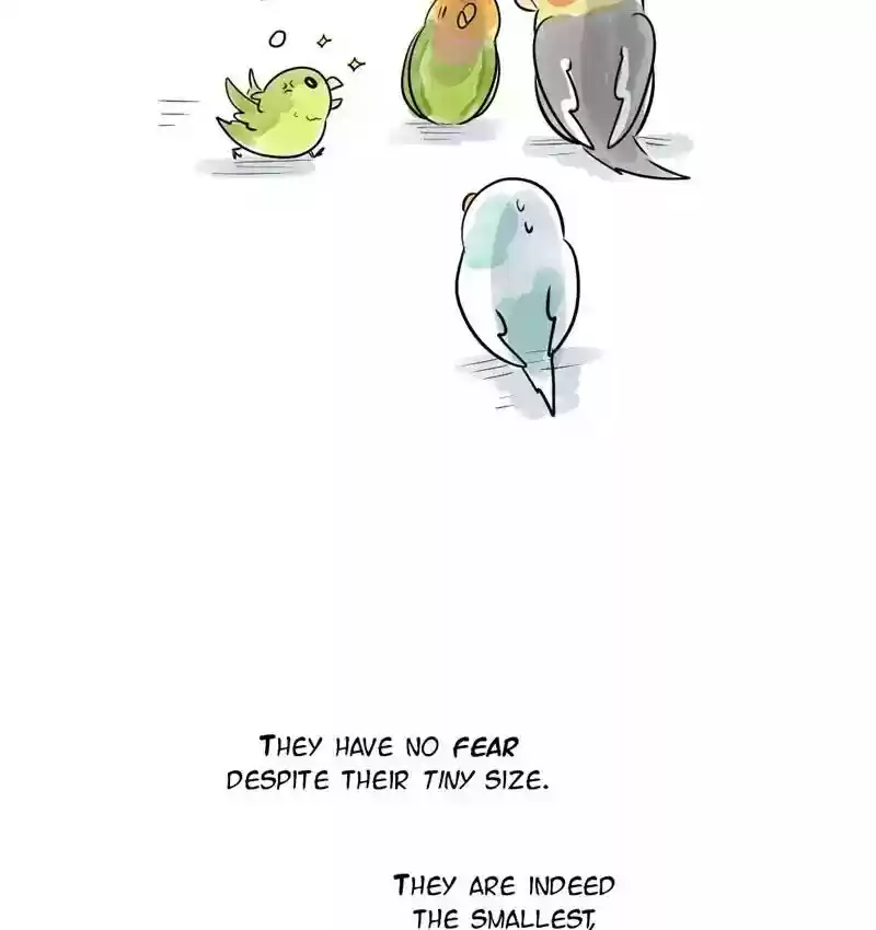 A Budgie's Life Chapter 105: Ep.105: