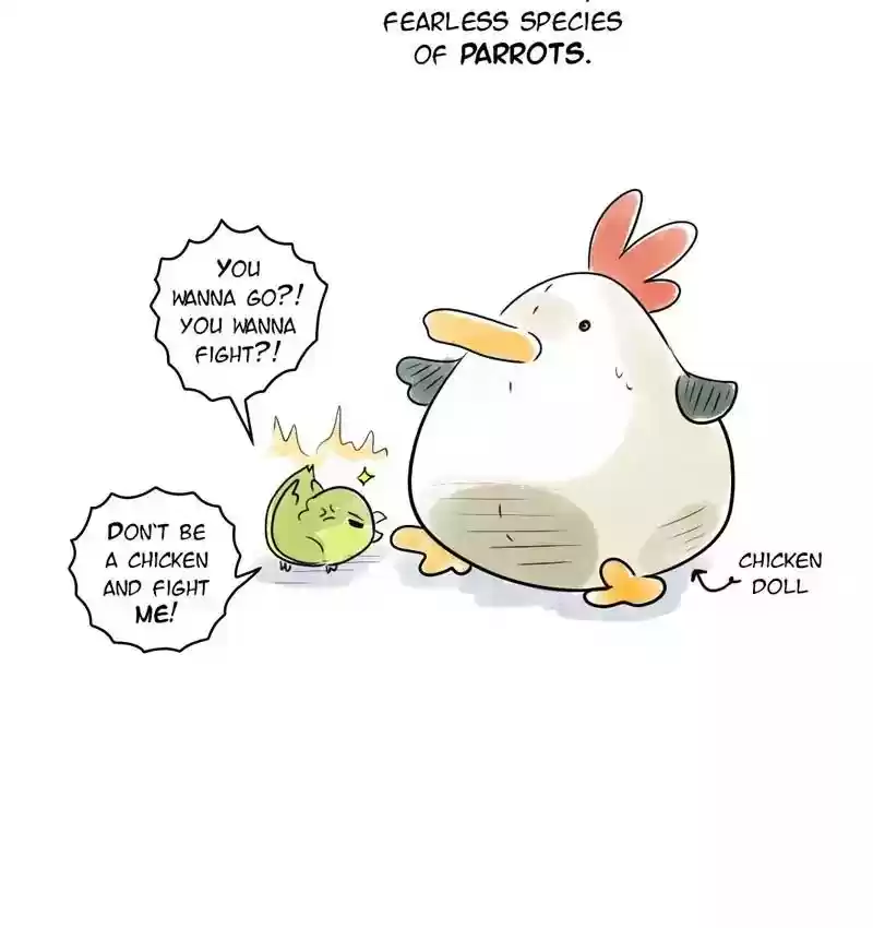 A Budgie's Life Chapter 105: Ep.105: