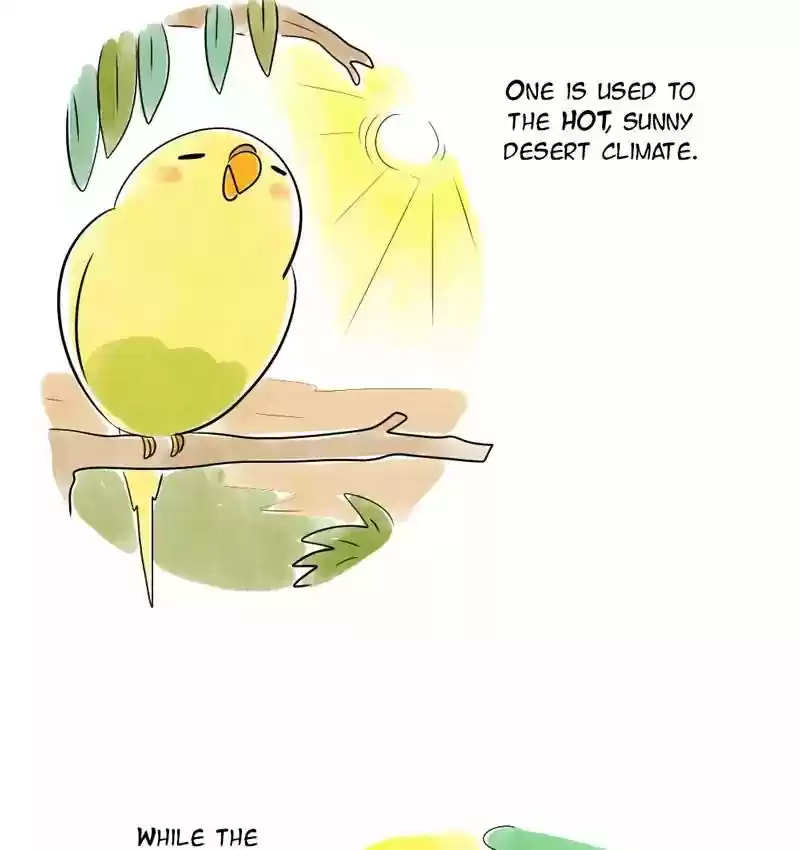 A Budgie's Life Chapter 105: Ep.105: