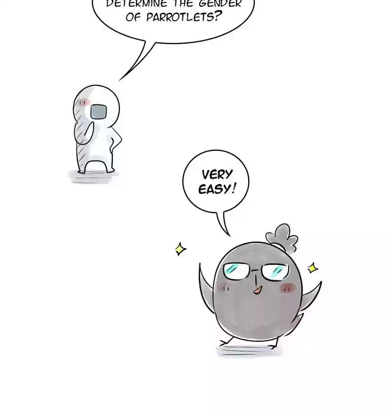 A Budgie's Life Chapter 105: Ep.105: