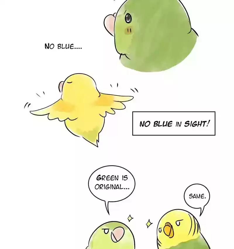 A Budgie's Life Chapter 105: Ep.105: