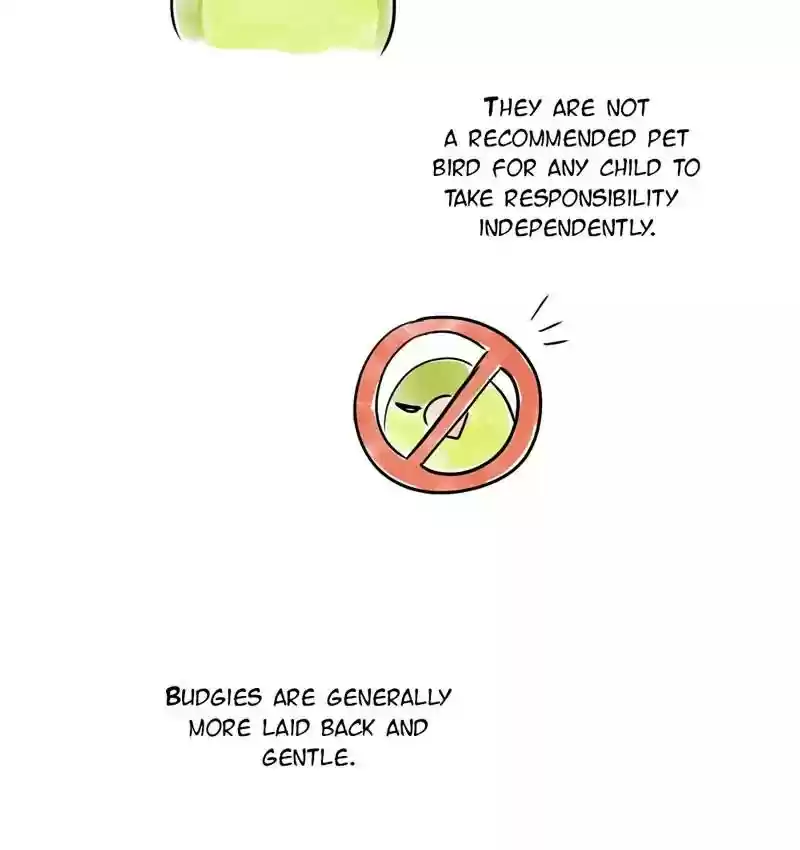 A Budgie's Life Chapter 105: Ep.105: