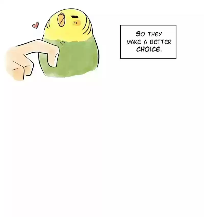 A Budgie's Life Chapter 105: Ep.105: