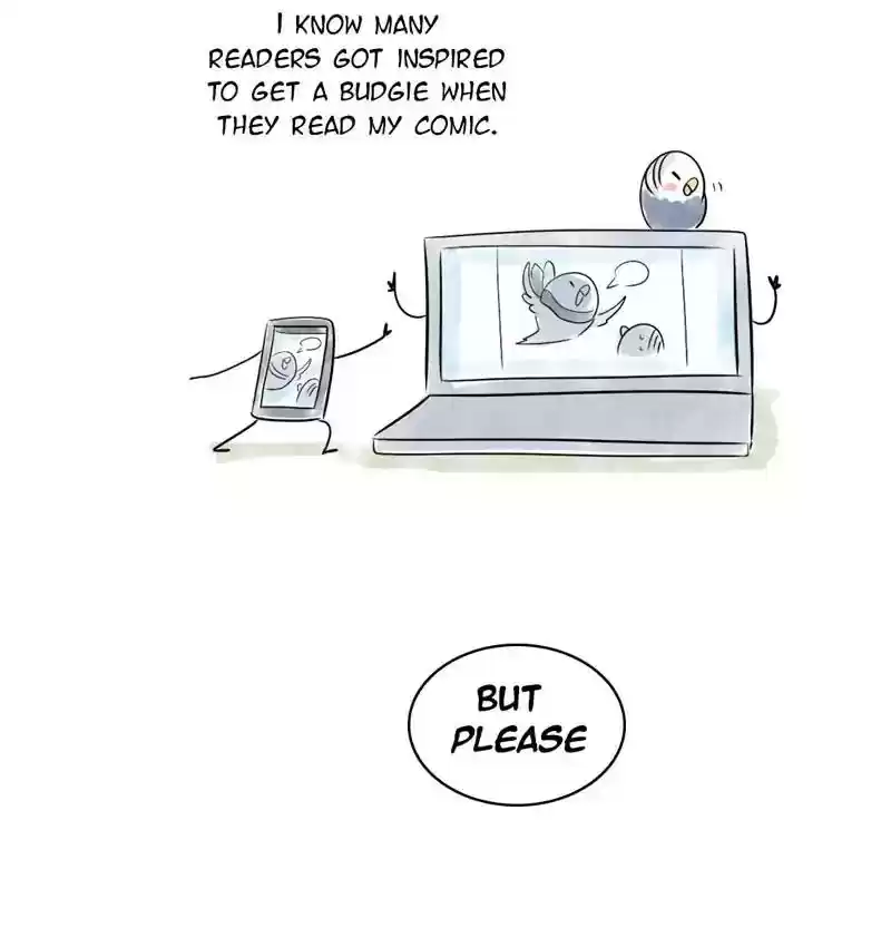 A Budgie's Life Chapter 105: Ep.105:
