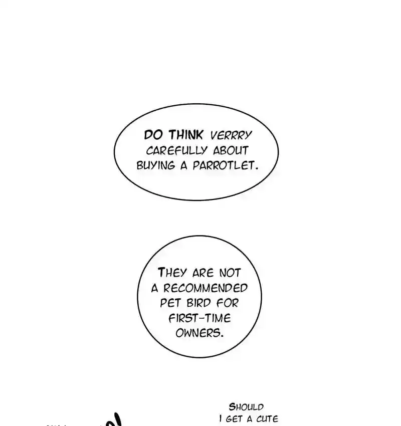 A Budgie's Life Chapter 105: Ep.105: