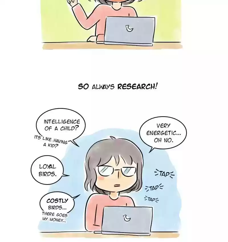 A Budgie's Life Chapter 105: Ep.105:
