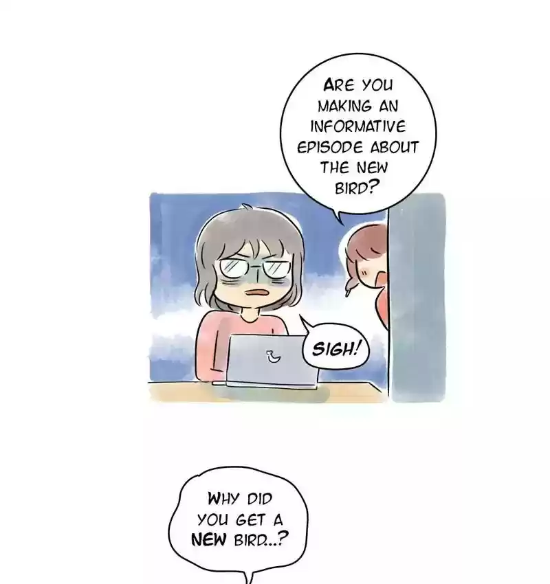 A Budgie's Life Chapter 105: Ep.105: